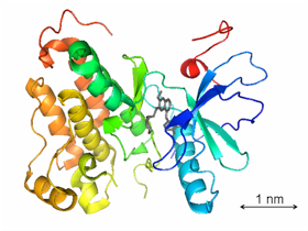 gefitinib