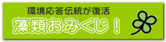 藻類おみくじ!