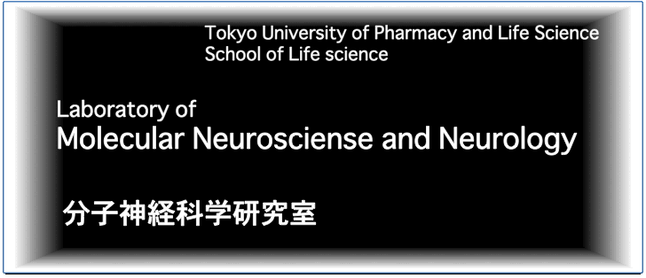 Noushinkei Laboratory