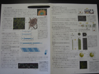 photo004