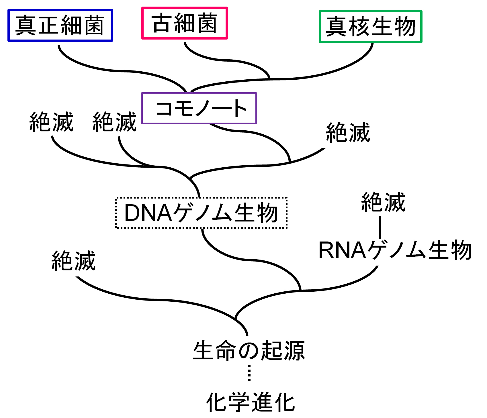 common ancestor