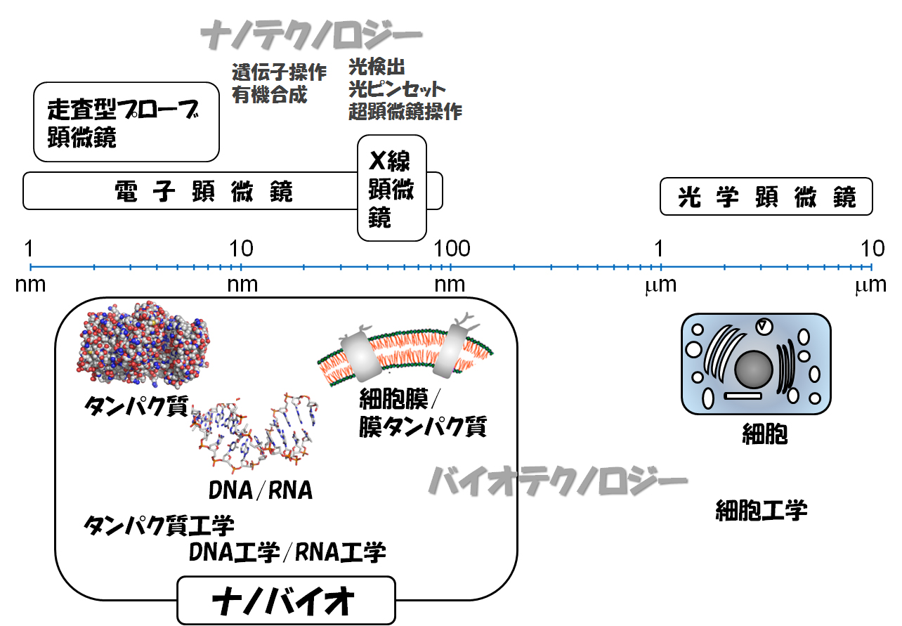 nanobiotechnology