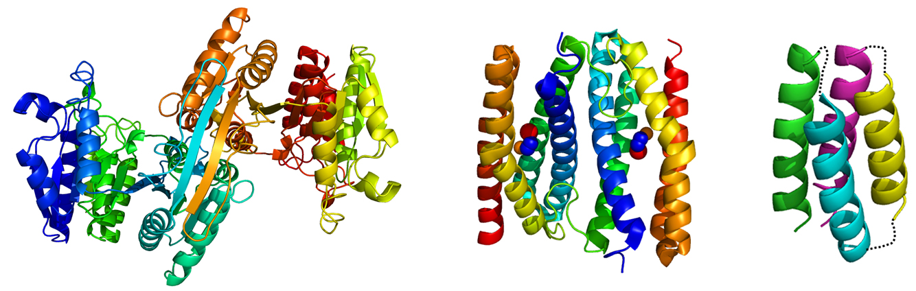 Stableproteins