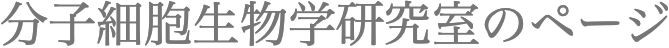 分子細胞生物学研究室のページ