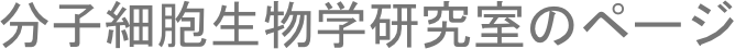 分子細胞生物学研究室のページ