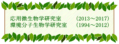 応用微生物学研究室　  （2013～2017） 環境分子生物学研究室　（1994～2012） 