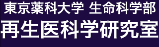 東京薬科大学 再生医科学研究室