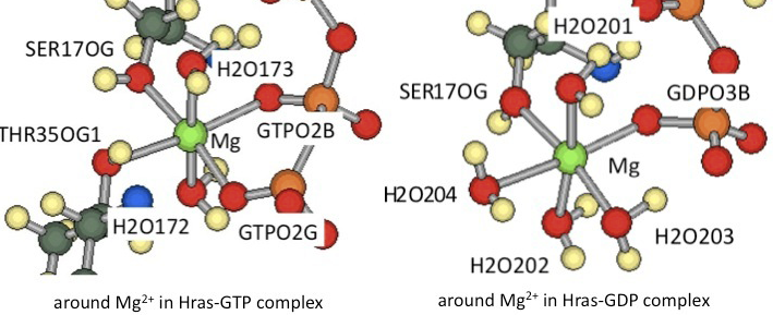 生命物理科学研究室